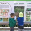 2015 » Výlet na Lipno 2015